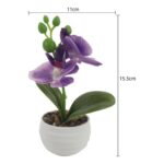 productHero-SPOTWF-BP80692184-assorted-10