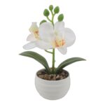productHero-SPOTWF-BP80692184-assorted