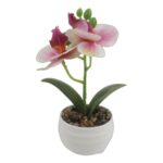 productHero-SPOTWF-BP80692184-assorted-2