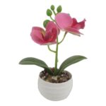 productHero-SPOTWF-BP80692184-assorted-3