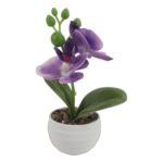 productHero-SPOTWF-BP80692184-assorted-4