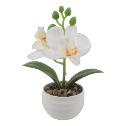 productHero-SPOTWF-BP80692184-assorted