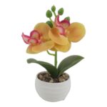 productHero-SPOTWF-BP80692184-assorted-5