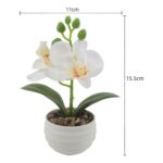 productHero-SPOTWF-BP80692184-assorted-6