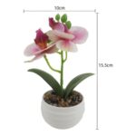 productHero-SPOTWF-BP80692184-assorted-7