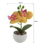 productHero-SPOTWF-BP80692184-assorted-8