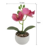 productHero-SPOTWF-BP80692184-assorted-9