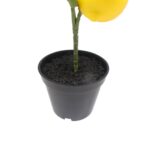 productHero-SPOTWF-BP80692185-yellow-2