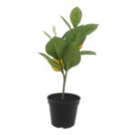 productHero-SPOTWF-BP80692185-yellow-3