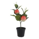 productHero-SPOTWF-BP80692186-pink