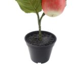 productHero-SPOTWF-BP80692186-pink-2