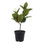 productHero-SPOTWF-BP80692186-pink-3