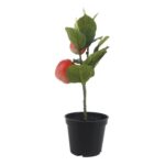 productHero-SPOTWF-BP80692186-pink-4