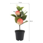 productHero-SPOTWF-BP80692186-pink-5