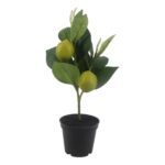productHero-SPOTWF-BP80692187-green