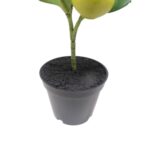 productHero-SPOTWF-BP80692187-green-2