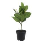 productHero-SPOTWF-BP80692187-green-3