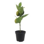 productHero-SPOTWF-BP80692187-green-4