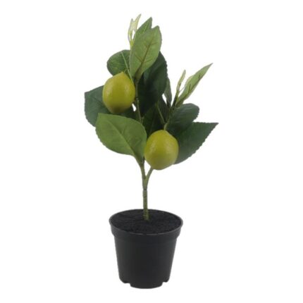 productHero-SPOTWF-BP80692187-green