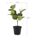 productHero-SPOTWF-BP80692187-green-5