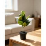 productHero-SPOTWF-BP80692187-green-6