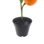 productHero-SPOTWF-BP80692188-orange-2