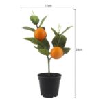 productHero-SPOTWF-BP80692188-orange-5