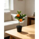 productHero-SPOTWF-BP80692188-orange-6