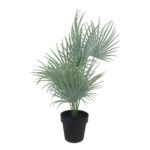 productHero-SPOTWF-BP80692189-green-2