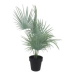 productHero-SPOTWF-BP80692189-green-3