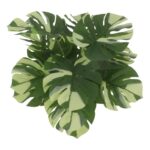 productHero-SPOTWF-BP80692190-green-2