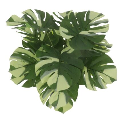 productHero-SPOTWF-BP80692190-green-2