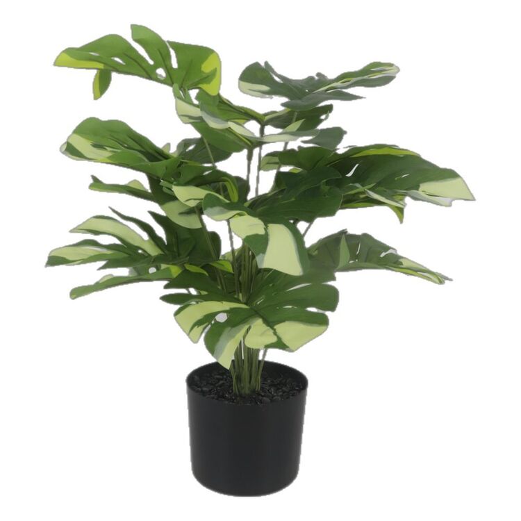 productHero-SPOTWF-BP80692190-green productHero-SPOTWF-BP80692190-green