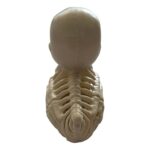 productHero-SPOTWF-BP80692799-multicoloured-5
