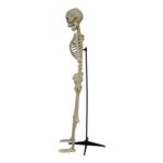productHero-SPOTWF-BP80693452-white-2