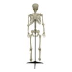productHero-SPOTWF-BP80693452-white-3