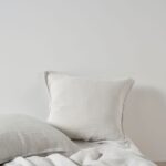 productHero-SPOTWF-BP80694528-hydrangea-2