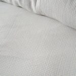 productHero-SPOTWF-BP80694633-hydrangea-2
