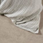 productHero-SPOTWF-BP80694633-hydrangea-3