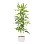 productHero-SPOTWF-BP80696354-green