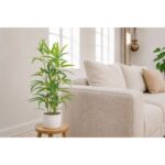 productHero-SPOTWF-BP80696354-green-2