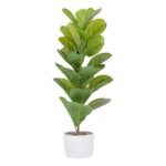 productHero-SPOTWF-BP80696355-green