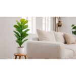 productHero-SPOTWF-BP80696355-green-2