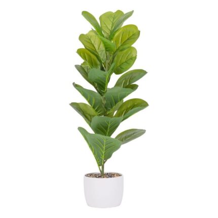 productHero-SPOTWF-BP80696355-green
