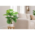productHero-SPOTWF-BP80696356-green-2