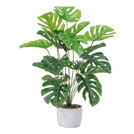 productHero-SPOTWF-BP80696356-green