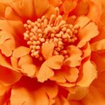 productHero-SPOTWF-BP80696482-orange-4