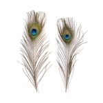 productHero-SPOTWF-BP80696531-multicoloured-2
