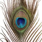 productHero-SPOTWF-BP80696531-multicoloured-3