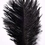 productHero-SPOTWF-BP80696532-black-3